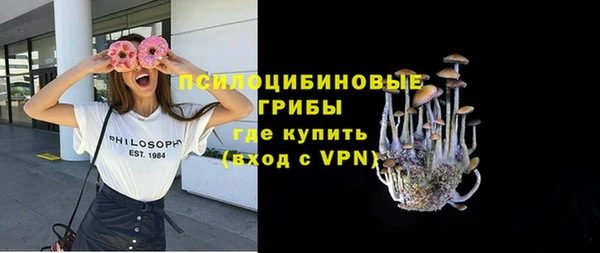 ECSTASY Абаза