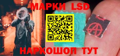 кокс Гатчина