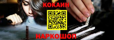 кокс Гатчина