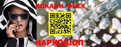 кокс Гатчина