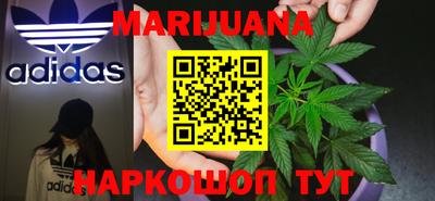 кокс Гатчина