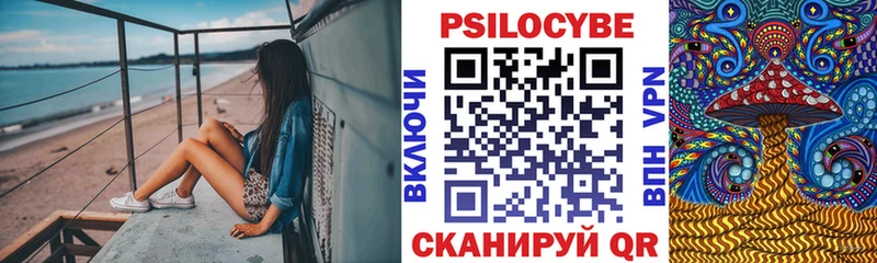 Галлюциногенные грибы Psilocybine cubensis blacksprut рабочий сайт Новоалександровск